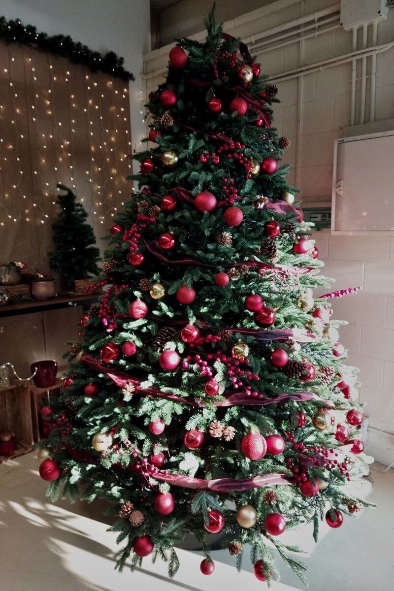 Hire Christmas Tree
