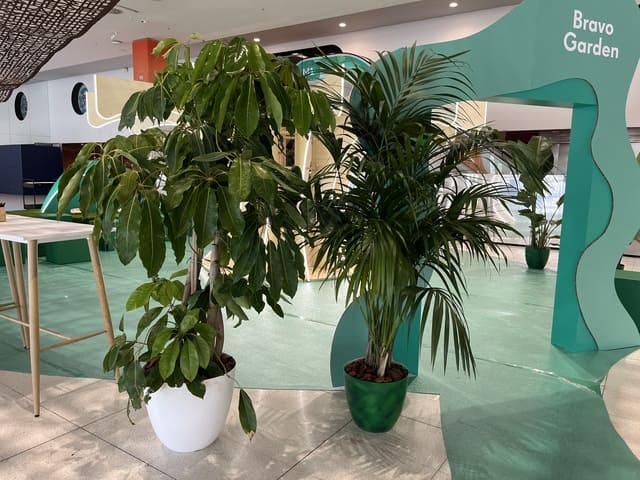 Alquiler de plantas Barcelona