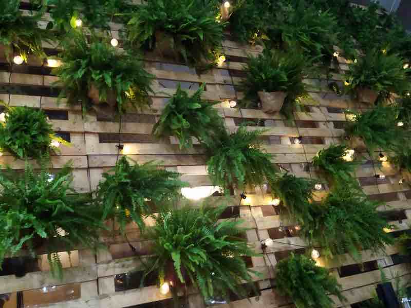 Decorar Eventos con plantas