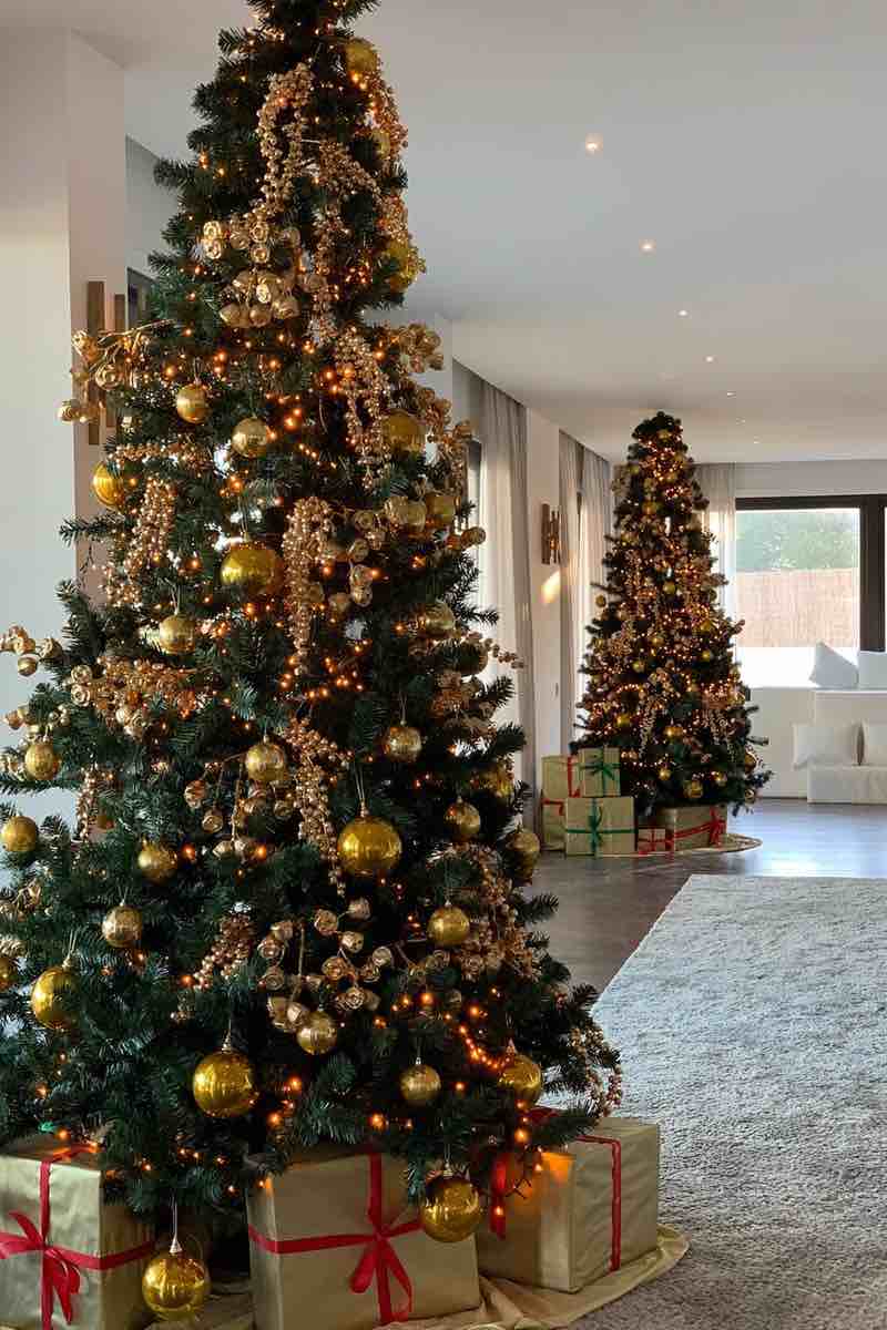 Hire Christmas Tree