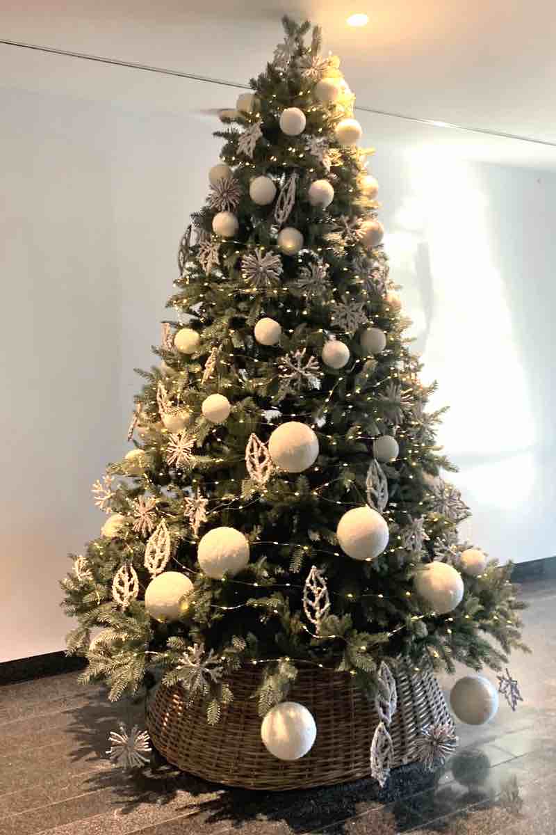 Hire Christmas Tree